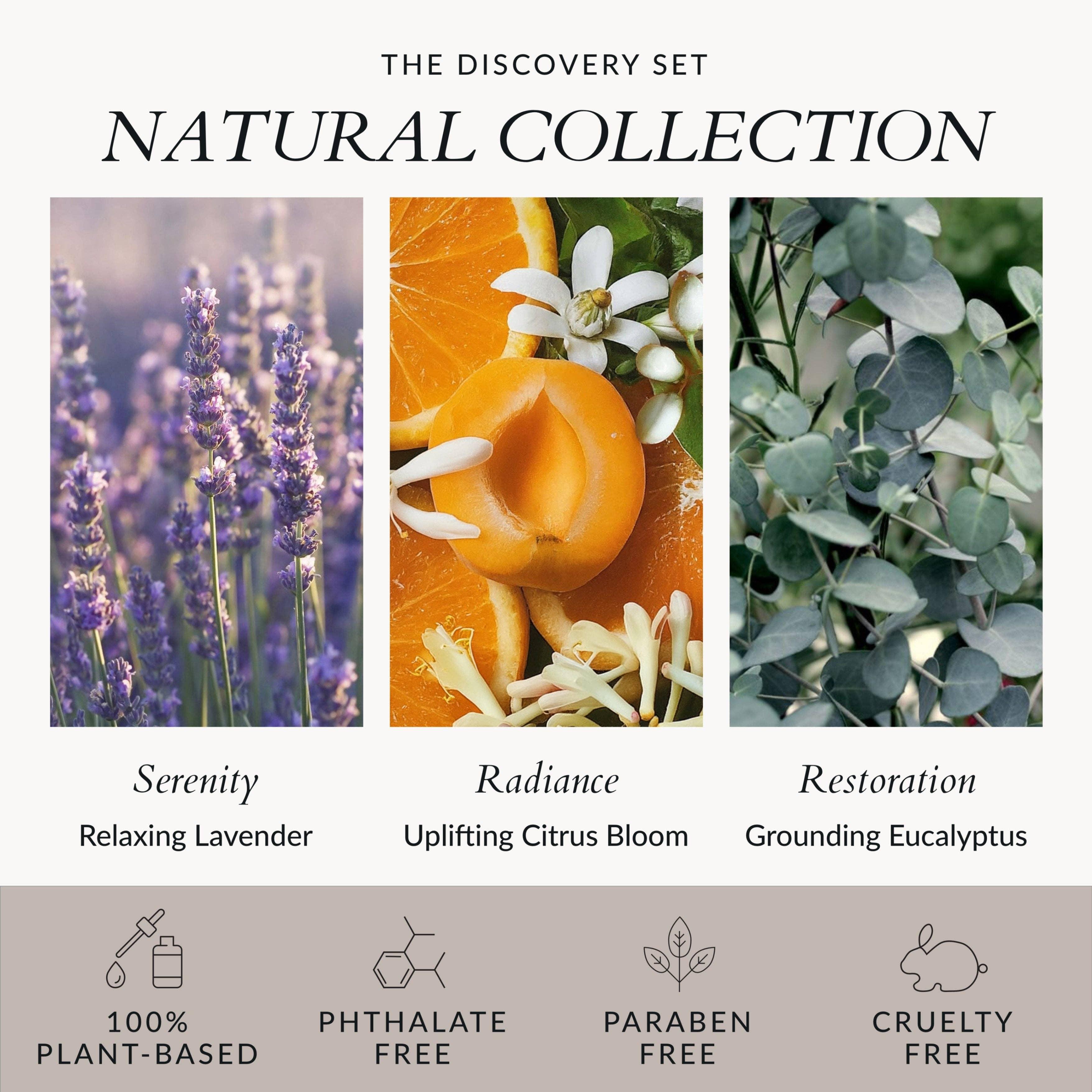 The Discovery Set - Asian Skincare Toronto