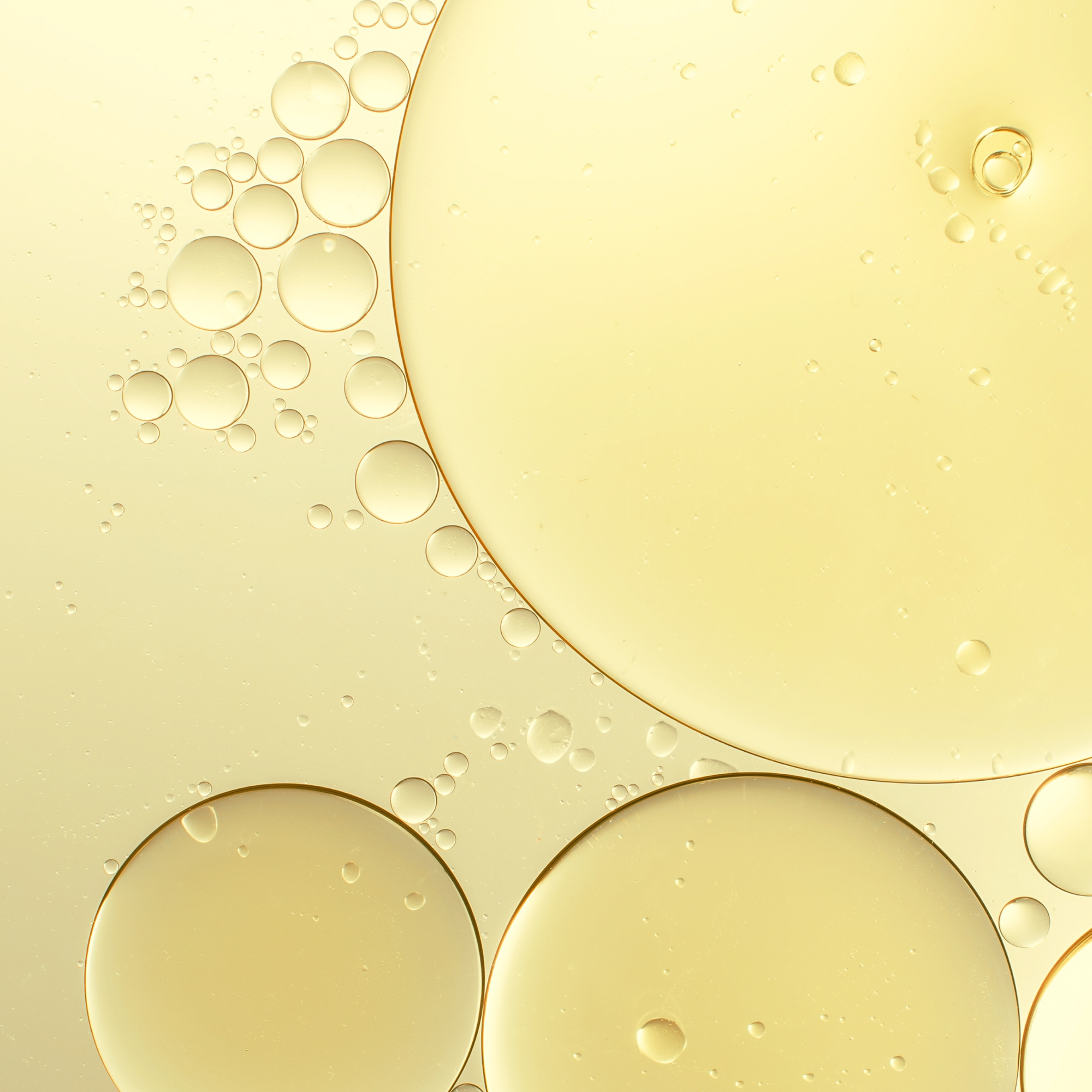 Lychee Hand Wash